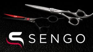 Sengo logo - Mainostoimisto BrandX