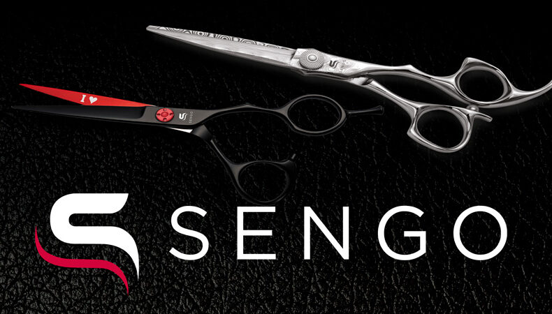 Sengo logo - Mainostoimisto BrandX